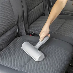 Buy ftom BrightLAB Pet Hair Remover Roller Rellair InnovaGoods