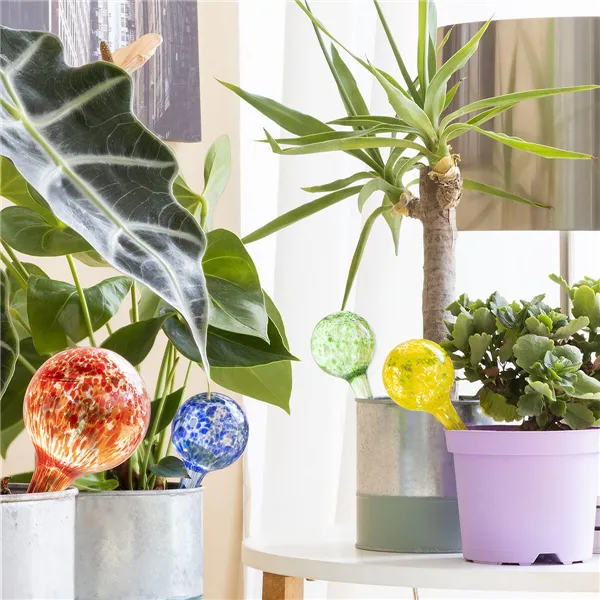 Buy ftom BrightLAB Automatic Watering Globes Ballwooters InnovaGoods 4 Units