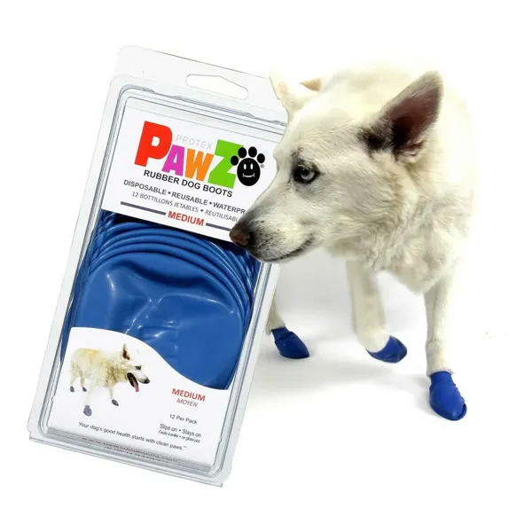 Buy ftom BrightLAB Boots Pawz Dog 12 Units Blue Size M