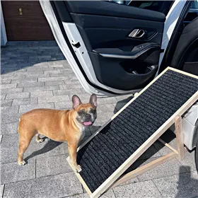 Dog ramp Springos DR0001