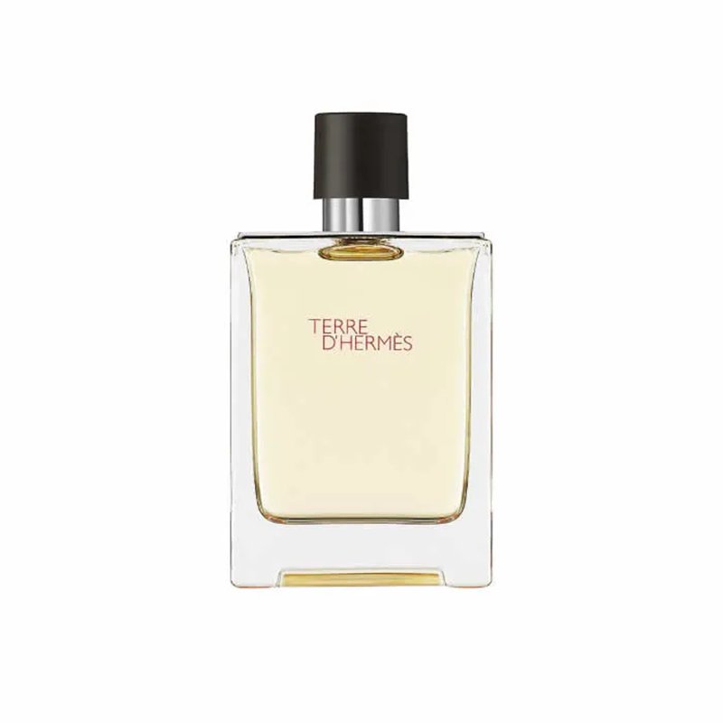 Hermes Terre D'Hermes Eau De Toilette Spray 100ml